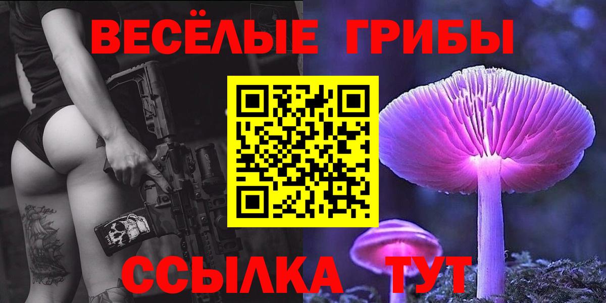Галлюциногенные грибы Psilocybe Ухта