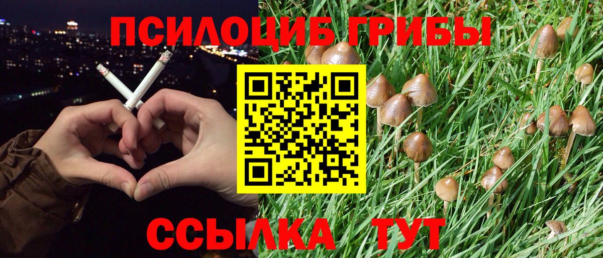 Ухта  Галлюциногенные грибы Magic Shrooms  Вход с VPN 